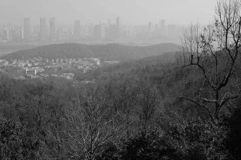 Journey to Yuelu Mountain 77