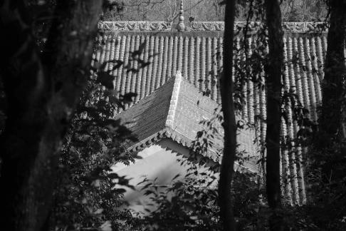Journey to Yuelu Mountain 80