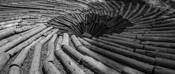 Log-whirlpool