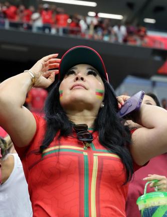 Fans and Emotions