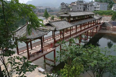 fenghuang11