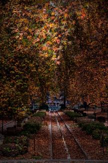 AUTUMN