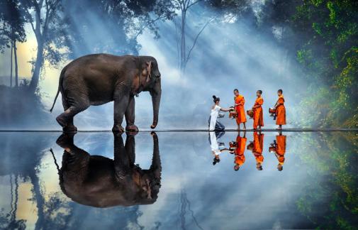 Dana to three monks