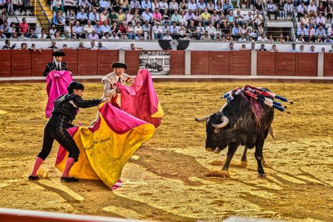 Mareando al animal
