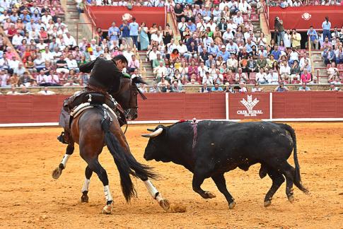 Sangre de toro