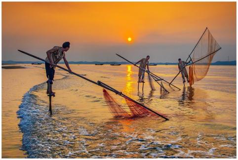 Working in the dawn