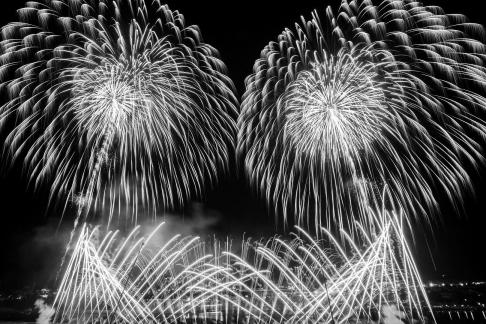 Fireworks bloom in full bloom 1