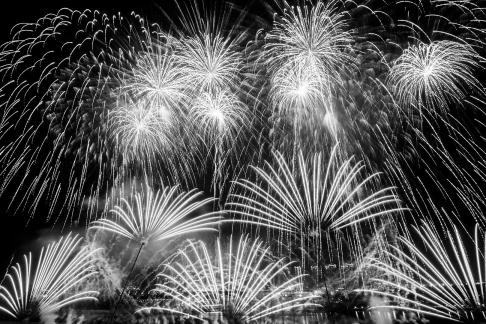 Fireworks bloom in full bloom 2