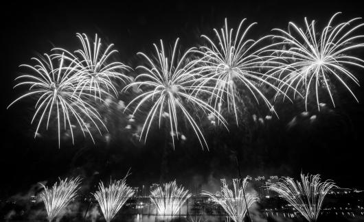 Fireworks bloom in full bloom 4