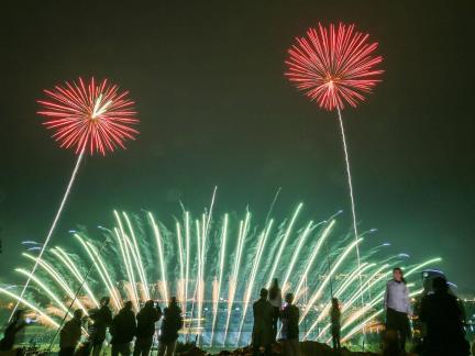 Fireworks bloom in full bloom 9