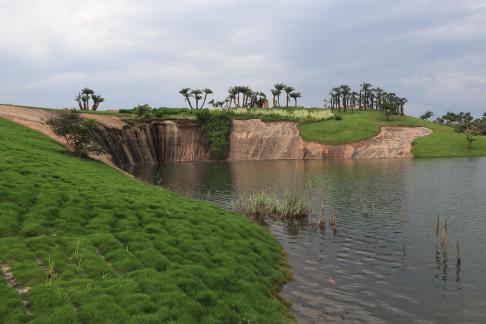 Qingqing Grassland 3