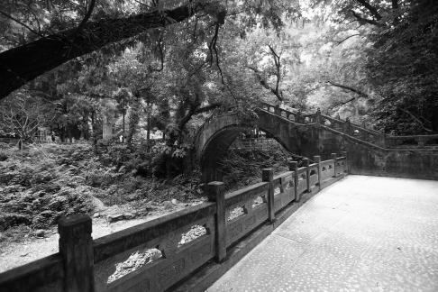 Shenxianju Scenic Area 14