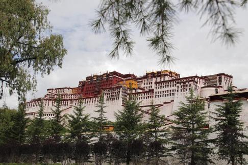 Take a photo in Xizang 31