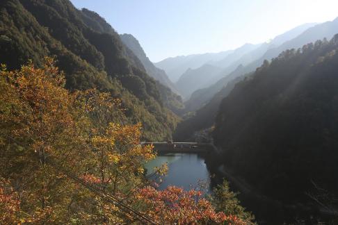 Green hills always stay 2