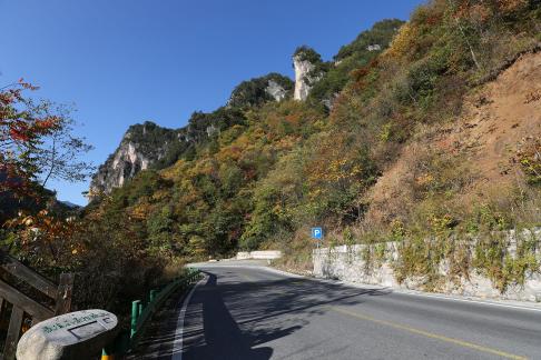 Green hills always stay 4