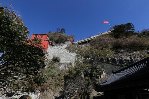 Green hills always stay 11