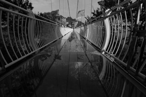 Journey to the Mountains 102