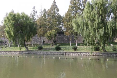 Visit the ancient city 100