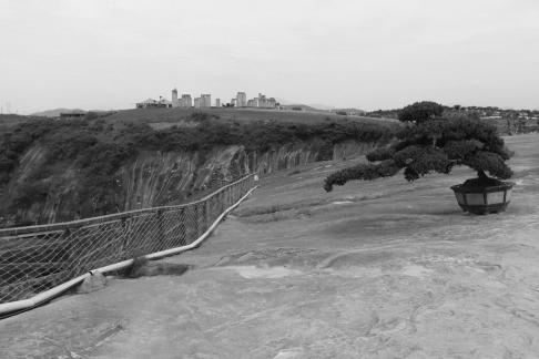 New Planting of Ancient Intent 1