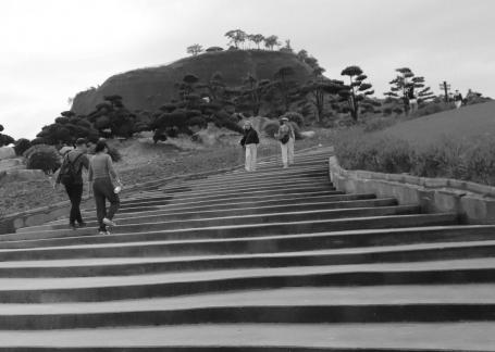 New Planting of Ancient Intent 2