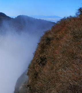 Kongshan New Color 4