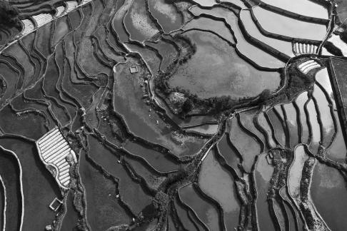 Terraced fields scenery 9