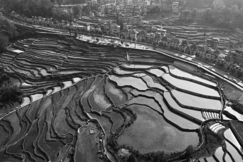 Terraced fields scenery 10