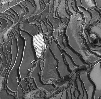 Terraced fields scenery 12