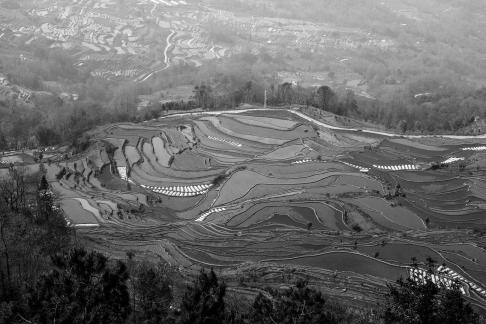 Terraced Fields Holy Scenery 2