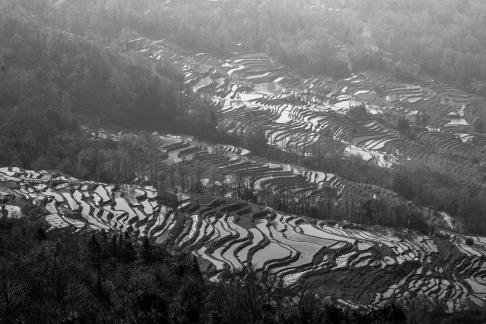 Terraced Fields Holy Scenery 3