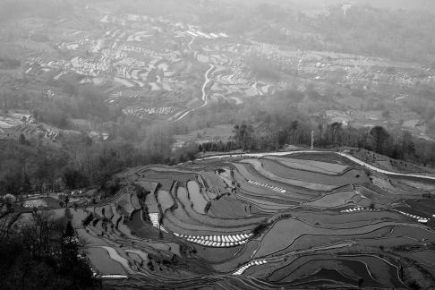 Terraced Fields Holy Scenery 4