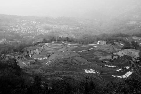 Terraced Fields Holy Scenery 5