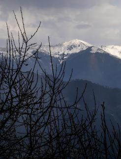 stand majestically 5