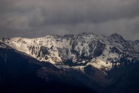 stand majestically 6