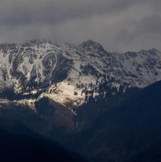 stand majestically 7