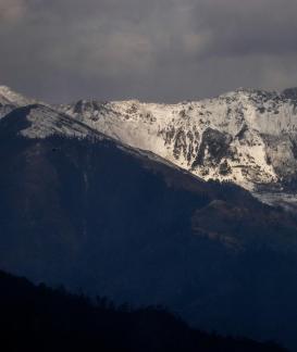 stand majestically 8