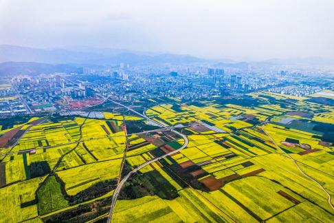 The Poetry of the Earth 5