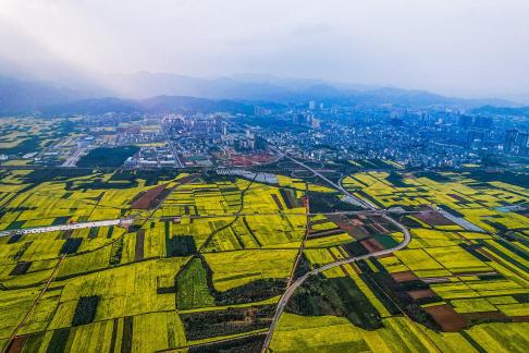 The Poetry of the Earth 6