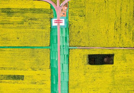 The Poetry of the Earth 13