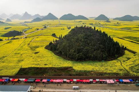 The Poetry of the Earth 15