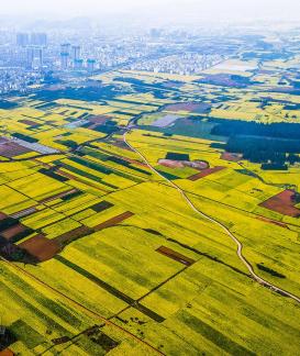 The Poetry of the Earth 11