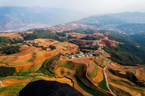 Green Valley Golden Steps 3