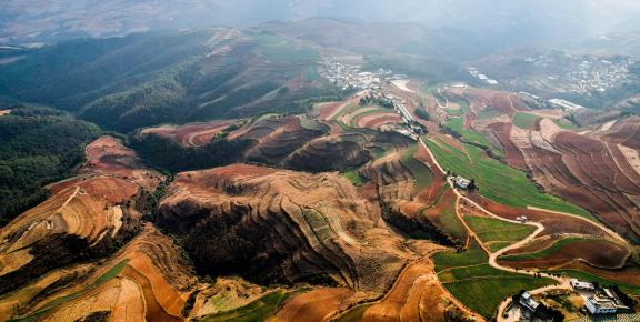 Green Valley Golden Steps 4