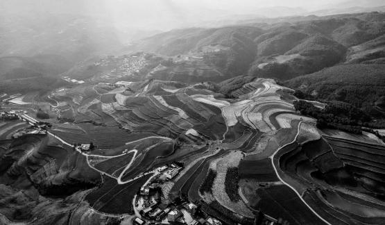 Green Valley Golden Steps 5