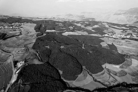 Green Valley Golden Steps 6