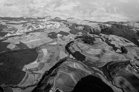 Green Valley Golden Steps 7