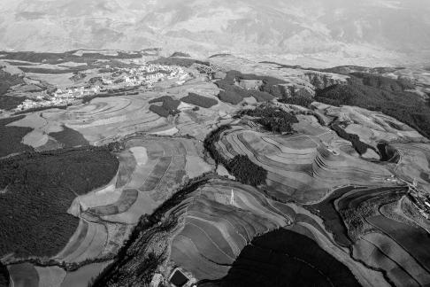 Green Valley Golden Steps 8