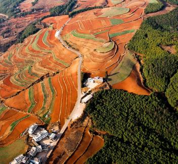 Green Valley Golden Steps 9