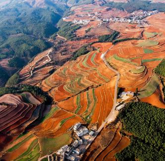 Green Valley Golden Steps 10