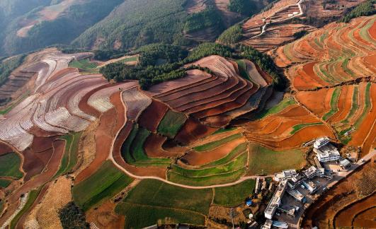 Green Valley Golden Steps 11